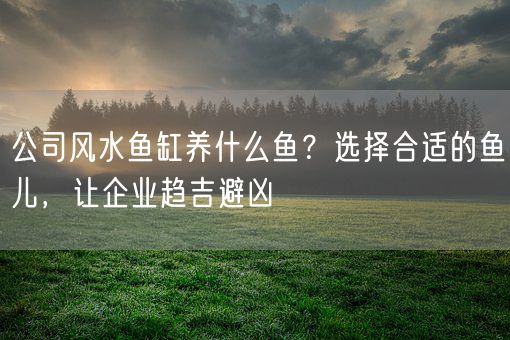 公司风水鱼缸养什么鱼？选择合适的鱼儿，让企业趋吉避凶(图1)