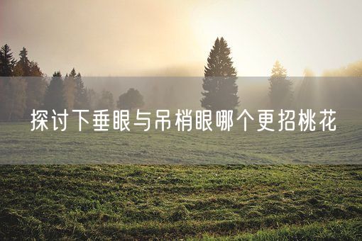 探讨下垂眼与吊梢眼哪个更招桃花(图1) 探讨下垂眼与吊梢眼哪个更招桃花(图1)