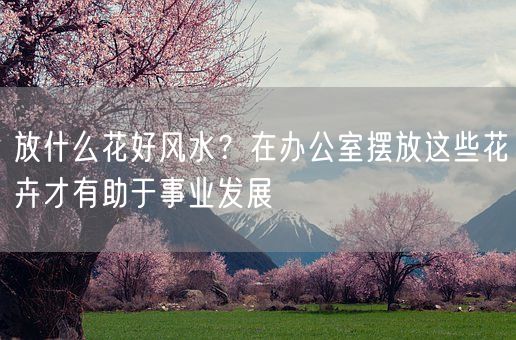 放什么花好风水？在办公室摆放这些花卉才有助于事业发展(图1)