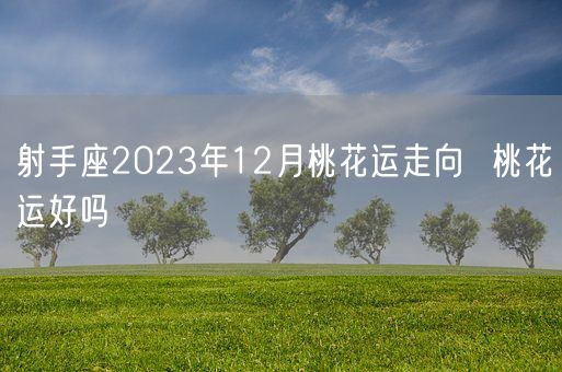 射手座2023年12月桃花运走向 桃花运好吗(图1) 射手座2023年12月桃花运走向 桃花运好吗(图1)