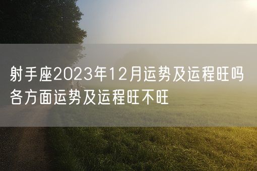 射手座2023年12月运势及运程旺吗 各方面运势及运程旺不旺(图1) 射手座2023年12月运势及运程旺吗 各方面运势及运程旺不旺(图1)