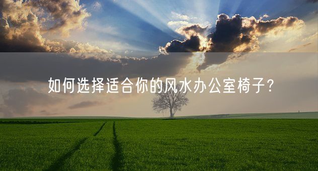 如何选择适合你的风水办公室椅子？(图1)