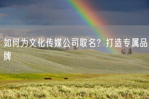 如何为文化传媒公司取名？打造专属品牌(图1)