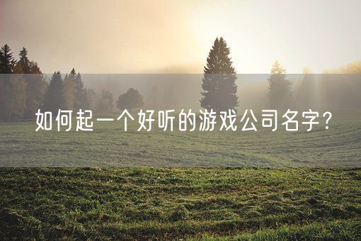 如何起一个好听的游戏公司名字？(图1)