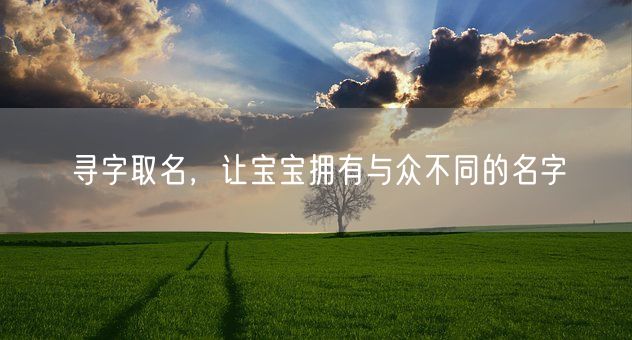 寻字取名，让宝宝拥有与众不同的名字(图1)