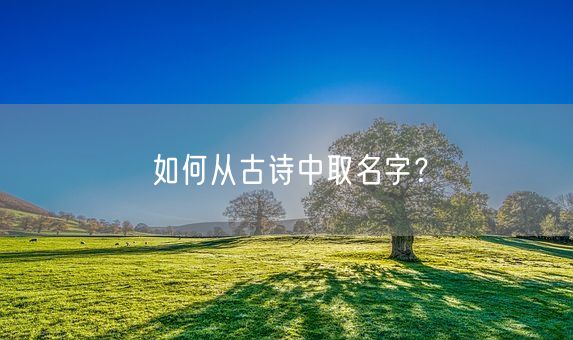 如何从古诗中取名字？(图1)