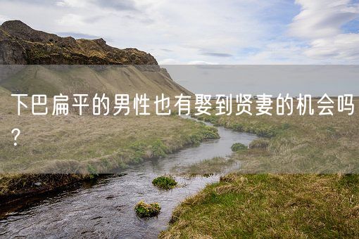 下巴扁平的男性也有娶到贤妻的机会吗?(图1) 下巴扁平的男性也有娶到贤妻的机会吗?(图1)