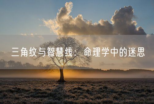 三角纹与智慧线:命理学中的迷思(图1) 三角纹与智慧线:命理学中的迷思(图1)