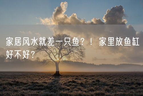 家居风水就差一只鱼？！家里放鱼缸好不好？(图1)