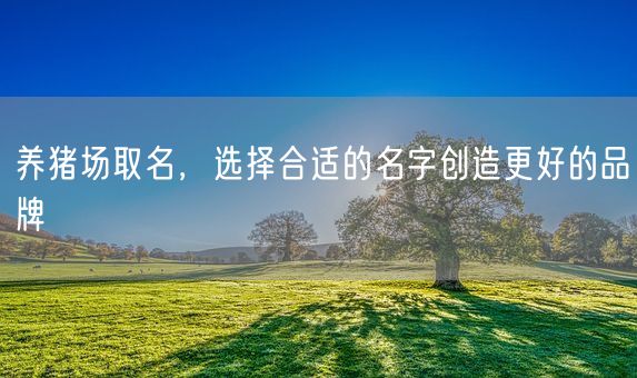 养猪场取名，选择合适的名字创造更好的品牌(图1)