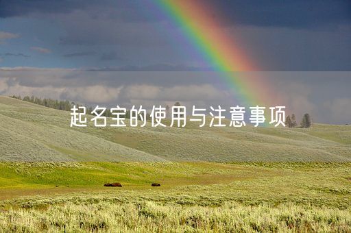 起名宝的使用与注意事项(图1) 起名宝的使用与注意事项(图1)