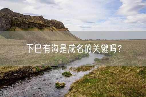 下巴有沟是成名的关键吗?(图1) 下巴有沟是成名的关键吗?(图1)