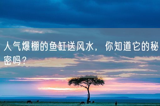 人气爆棚的鱼缸送风水，你知道它的秘密吗？(图1)