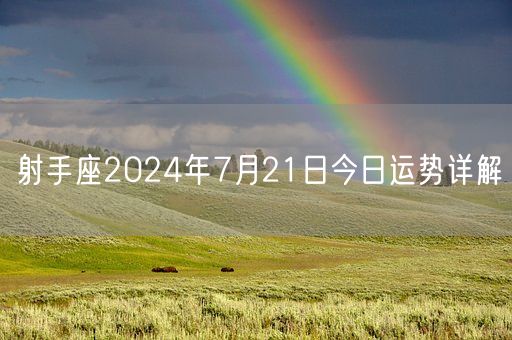 射手座2024年7月21日今日运势详解(图1) 射手座2024年7月21日今日运势详解(图1)