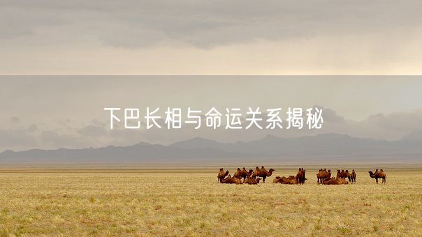 下巴长相与命运关系揭秘(图1) 下巴长相与命运关系揭秘(图1)