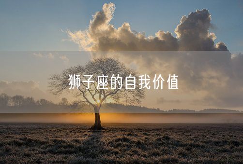 狮子座的自我价值(图1)