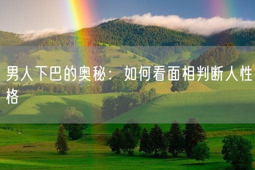 男人下巴的奥秘:如何看面相判断人性格(图1) 男人下巴的奥秘:如何看面相判断人性格(图1)