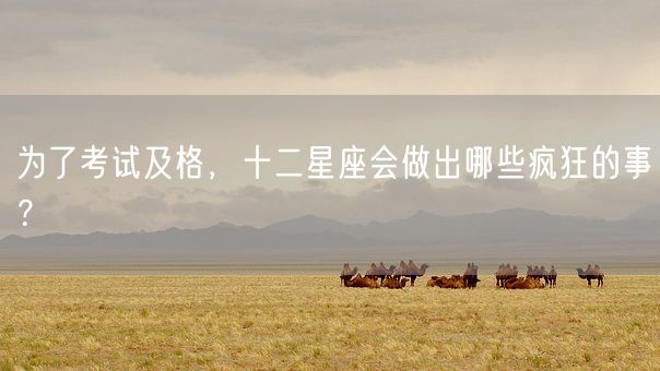 为了考试及格，十二星座会做出哪些疯狂的事？(图1)