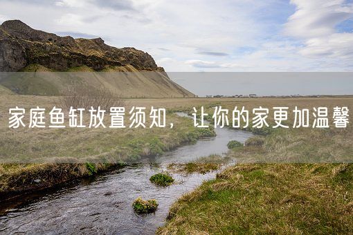 家庭鱼缸放置须知，让你的家更加温馨(图1)