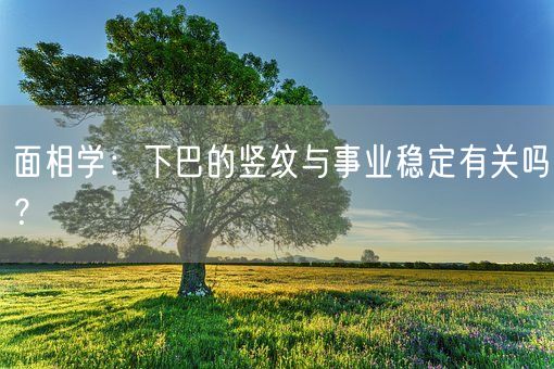面相学:下巴的竖纹与事业稳定有关吗?(图1) 面相学:下巴的竖纹与事业稳定有关吗?(图1)