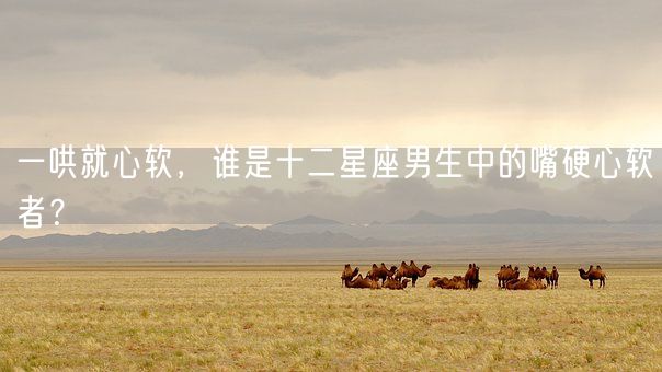 一哄就心软,谁是十二星座男生中的嘴硬心软者?(图1) 一哄就心软,谁是十二星座男生中的嘴硬心软者?(图1)