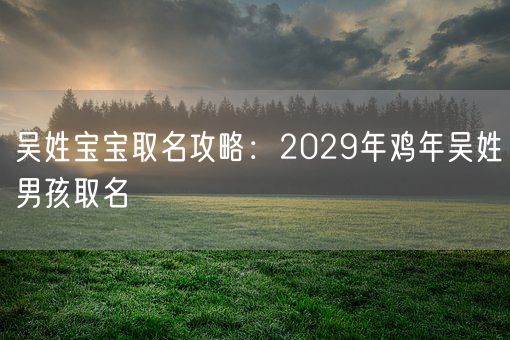 吴姓宝宝取名攻略：2029年鸡年吴姓男孩取名(图1)