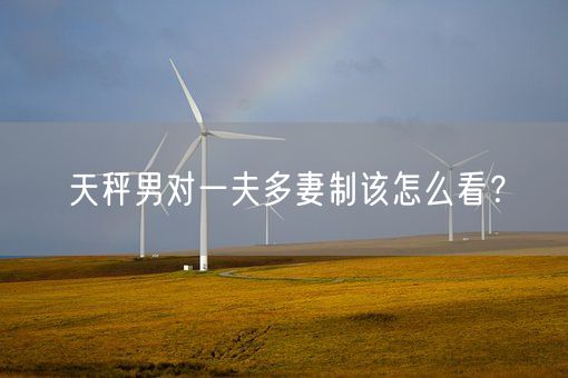 天秤男对一夫多妻制该怎么看？(图1)