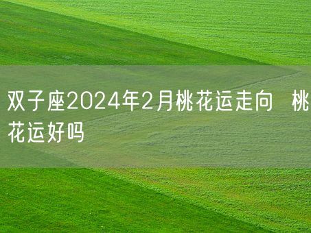双子座2024年2月桃花运走向  桃花运好吗(图1)