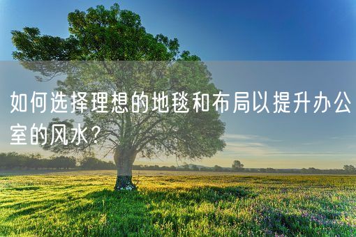 如何选择理想的地毯和布局以提升办公室的风水？(图1)