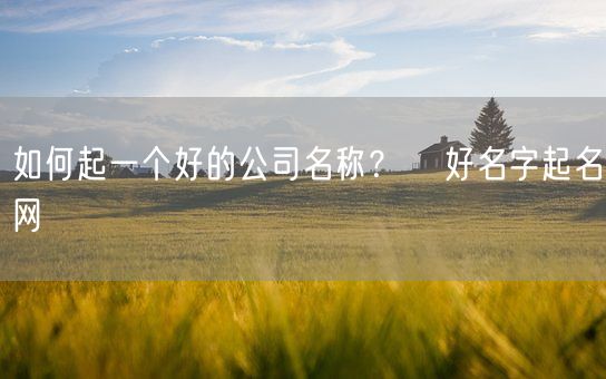 如何起一个好的公司名称？   好名字起名网(图1)