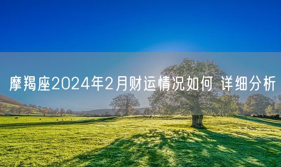 摩羯座2024年2月财运情况如何 详细分析(图1)