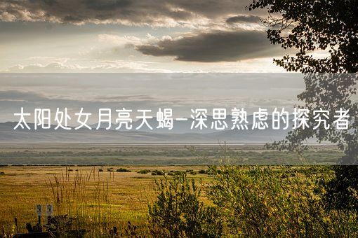 太阳处女月亮天蝎-深思熟虑的探究者(图1)