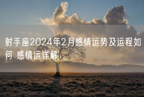 射手座2024年2月感情运势及运程如何 感情运详解(图1)