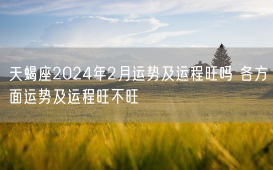 天蝎座2024年2月运势及运程旺吗 各方面运势及运程旺不旺(图1)