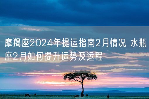 摩羯座2024年提运指南2月情况 水瓶座2月如何提升运势及运程(图1)