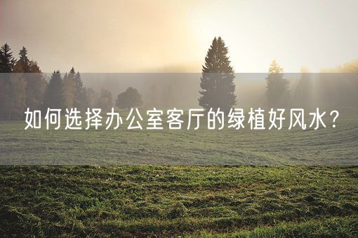 如何选择办公室客厅的绿植好风水？(图1)