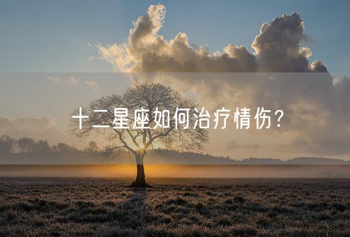 十二星座如何治疗情伤？(图1)