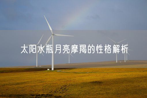 太阳水瓶月亮摩羯的性格解析(图1)