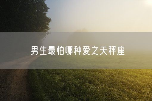 男生最怕哪种爱之天秤座(图1)