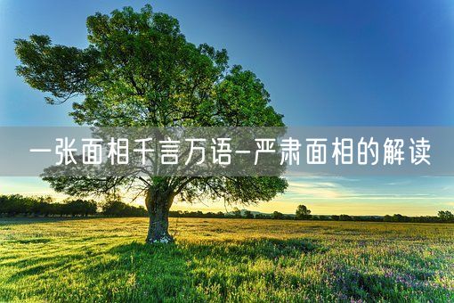 一张面相千言万语-严肃面相的解读(图1)