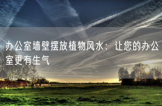 办公室墙壁摆放植物风水：让您的办公室更有生气(图1)