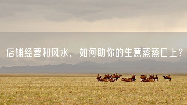 店铺经营和风水，如何助你的生意蒸蒸日上？(图1)