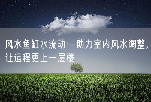 风水鱼缸水流动：助力室内风水调整，让运程更上一层楼(图1)