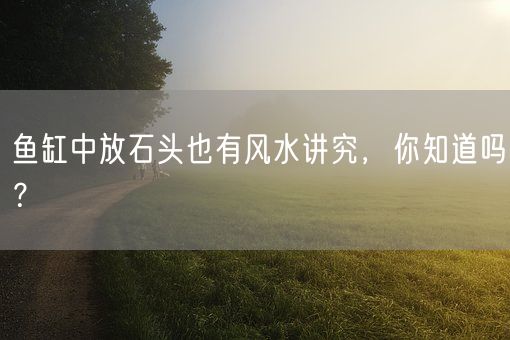 鱼缸中放石头也有风水讲究，你知道吗？(图1)