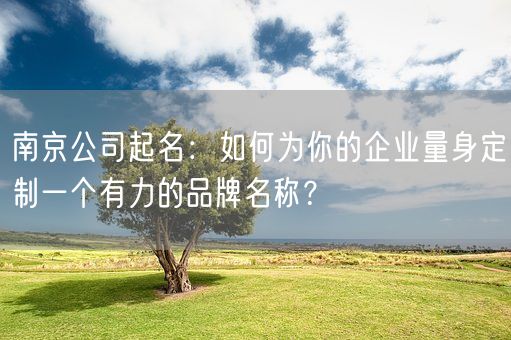 南京公司起名：如何为你的企业量身定制一个有力的品牌名称？(图1)