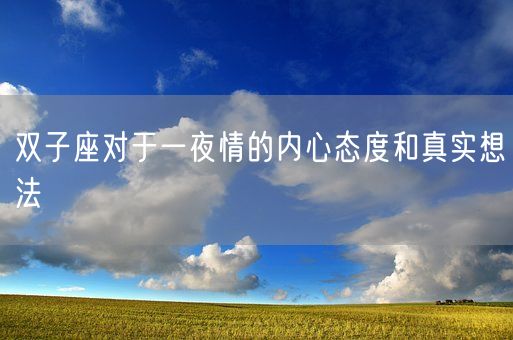 双子座对于一夜情的内心态度和真实想法(图1)
