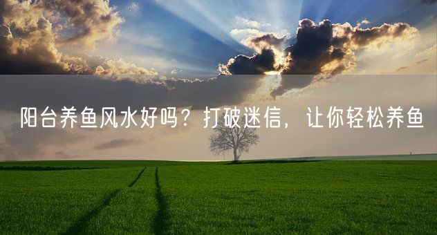 阳台养鱼风水好吗？打破迷信，让你轻松养鱼(图1)