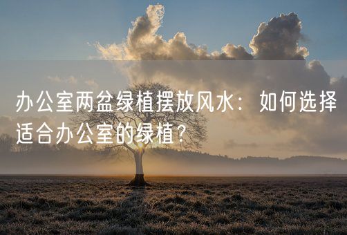 办公室两盆绿植摆放风水：如何选择适合办公室的绿植？(图1)