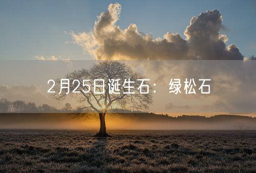 2月25日诞生石：绿松石(图1)