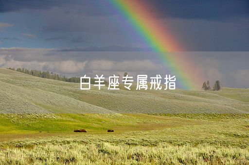 白羊座专属戒指(图1)